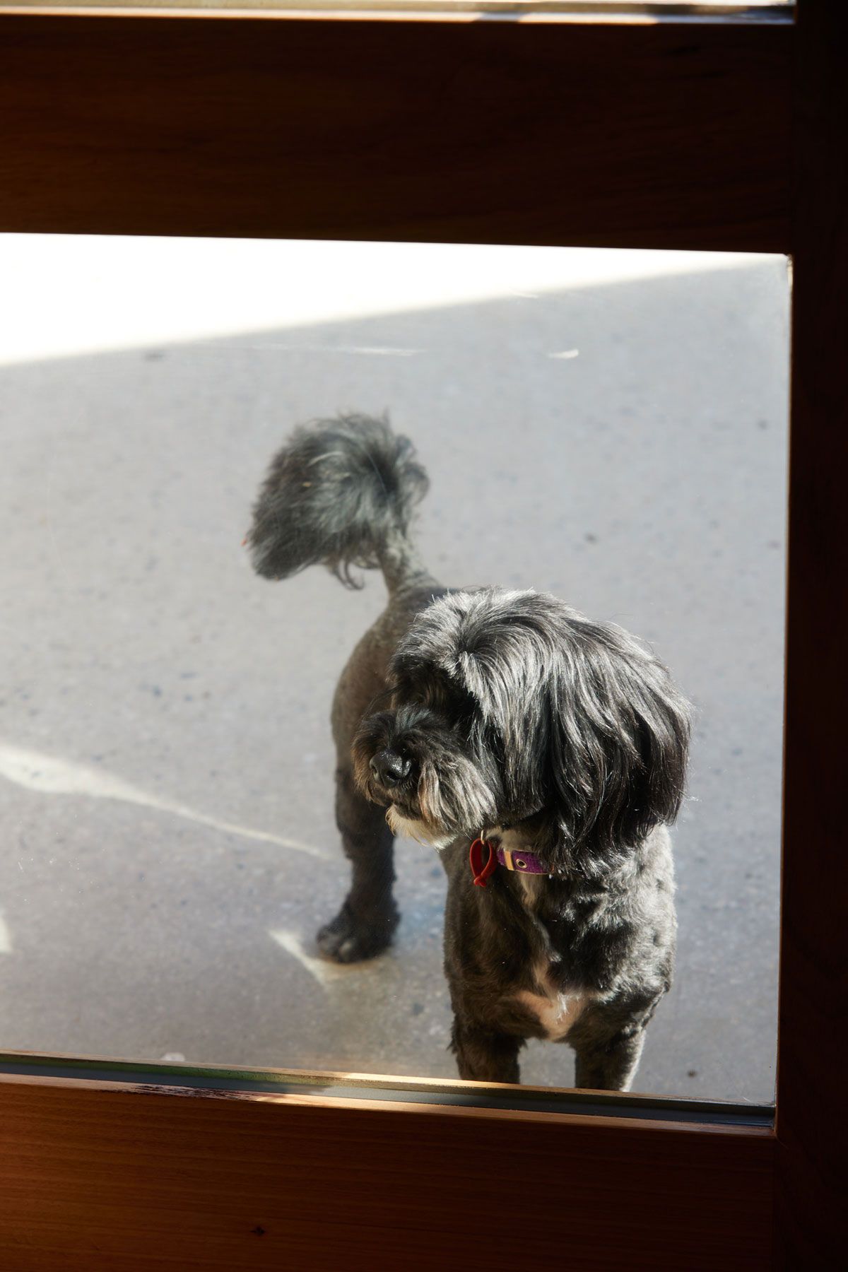 Image credit: Rebecca Newman