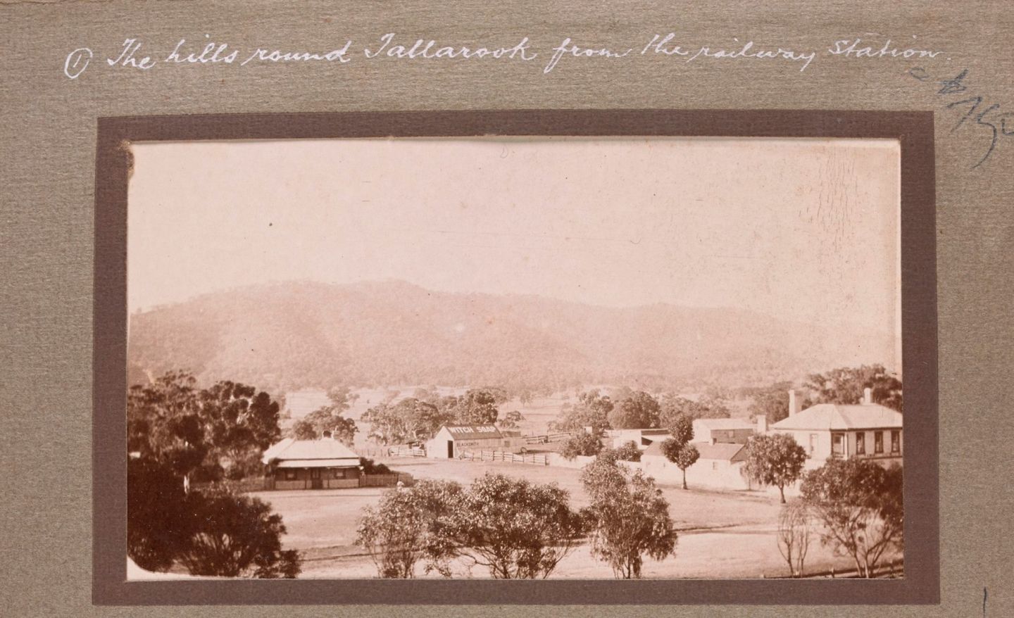 Image credit: Robert Service